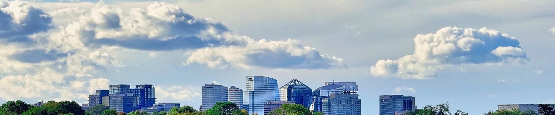 House Cleaning in Arlington, VA
