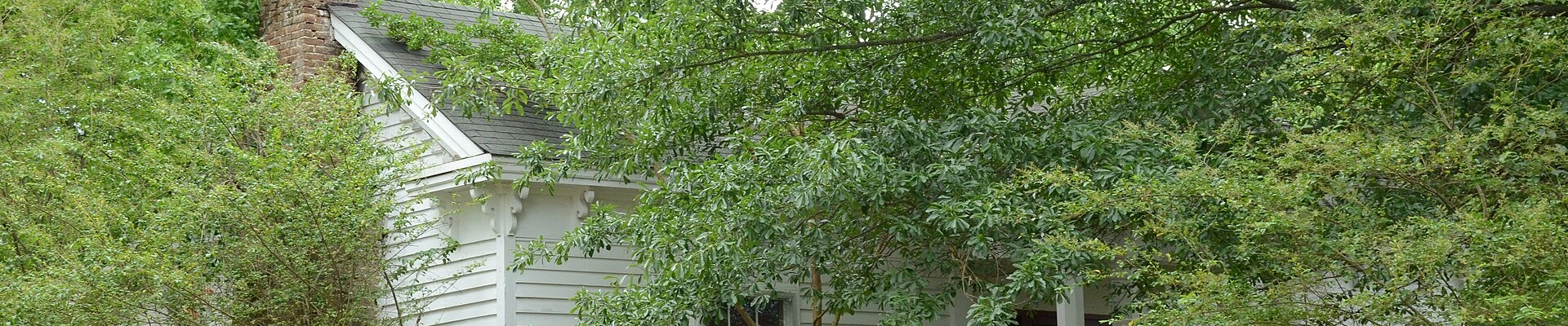 House Cleaning providers in Austin
