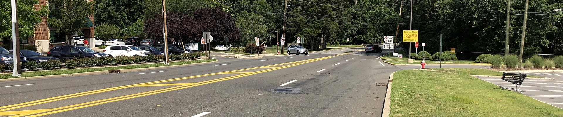 Local pros in Emerson, NJ