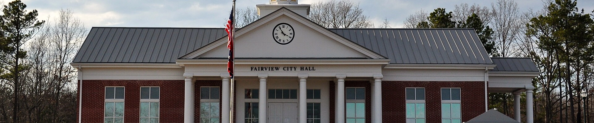 Local pros in Fairview, TN