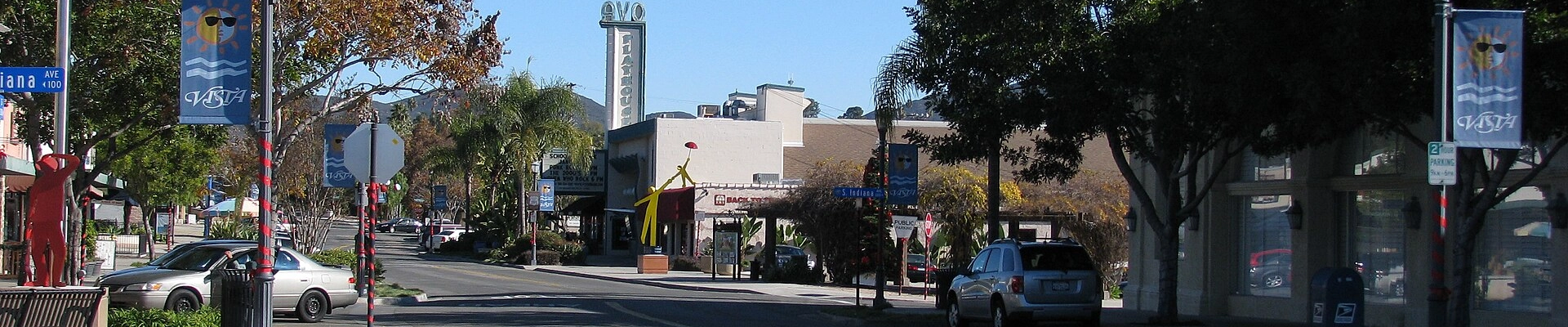 Local pros in Vista, CA