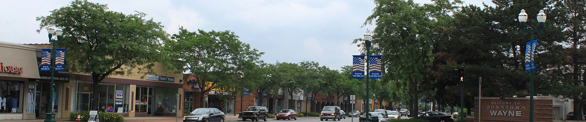 Local pros in Wayne, MI