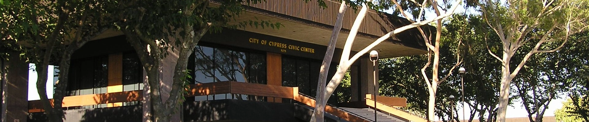 Local pros in Cypress, CA