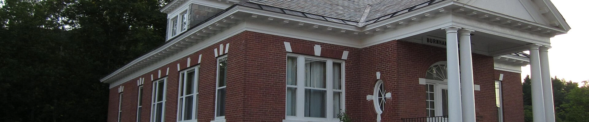 Tree providers in Lincoln
