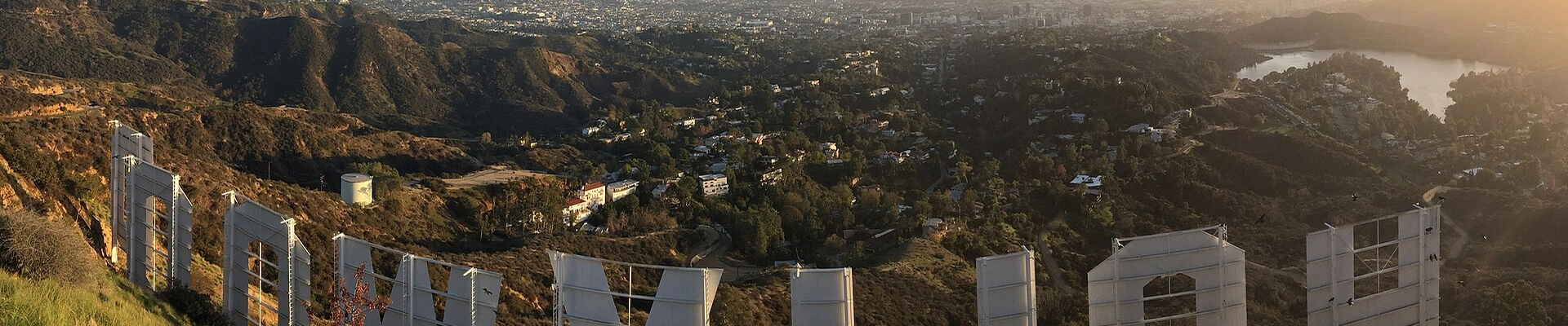 Local pros in Hollywood, CA