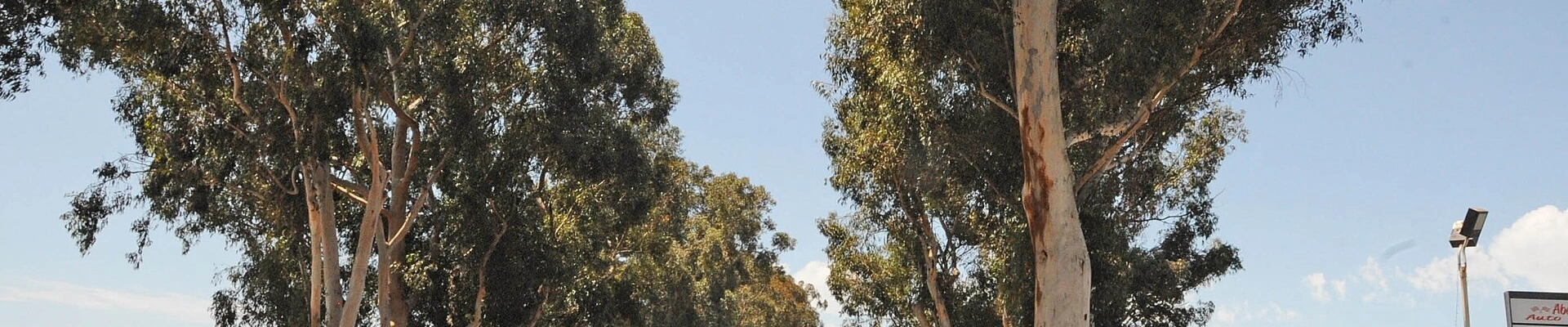 Local pros in Ramona, CA