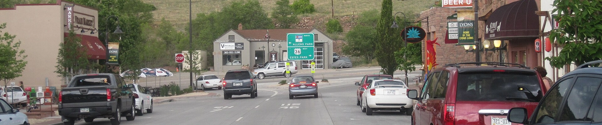 Local pros in Lyons, CO