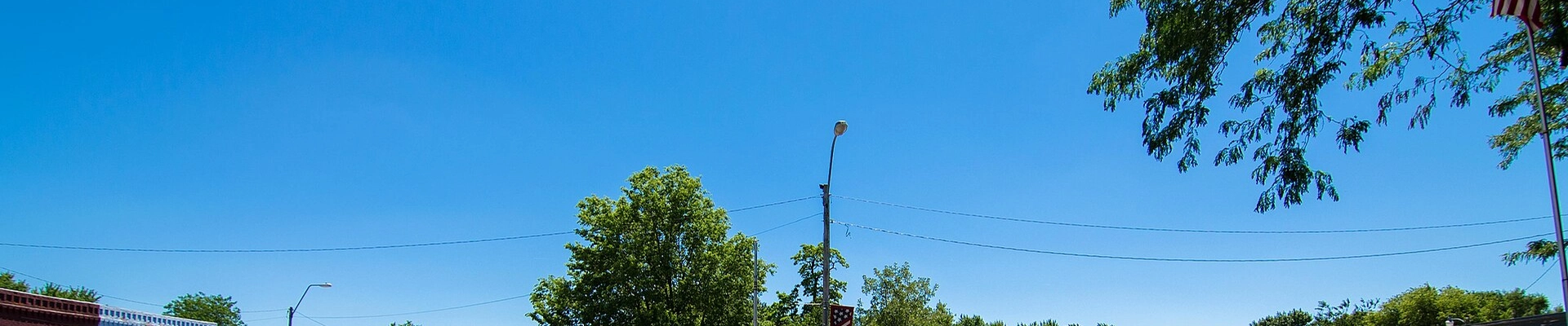 Tree providers in Bellwood