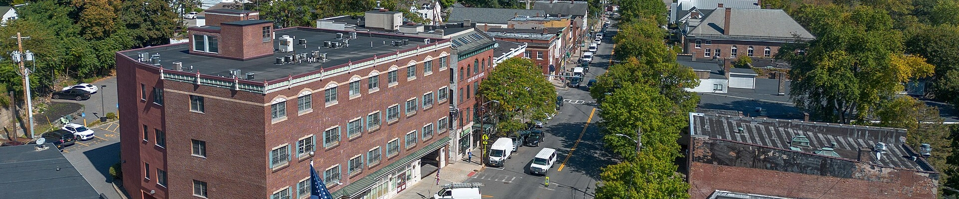 Tree providers in Brewster