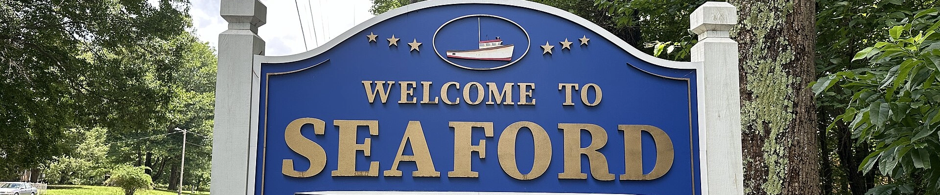 Local pros in Seaford, VA
