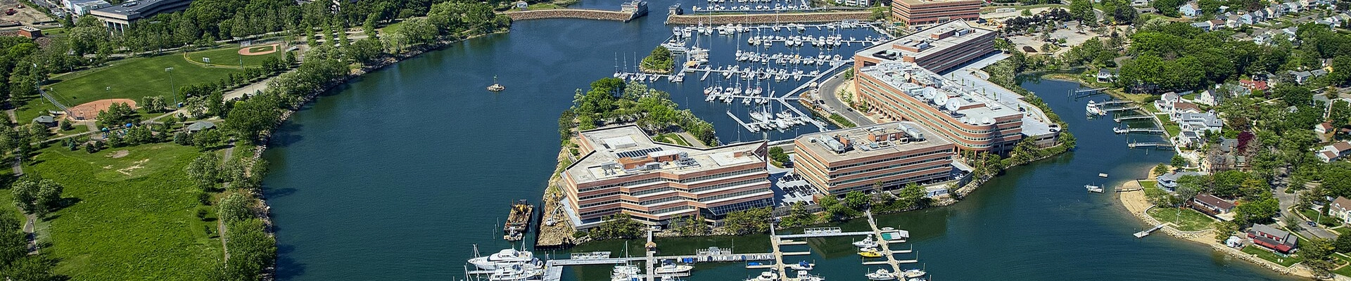 Local pros in Stamford, CT