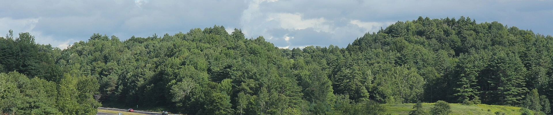 Local pros in Richmond, VT