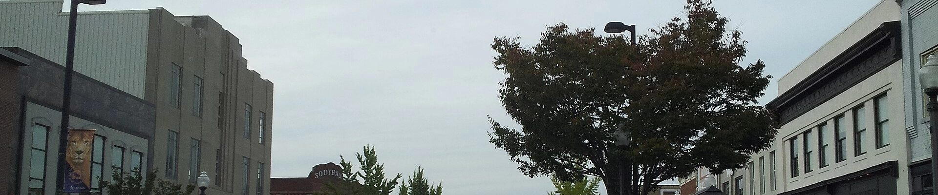 Tree providers in Florence