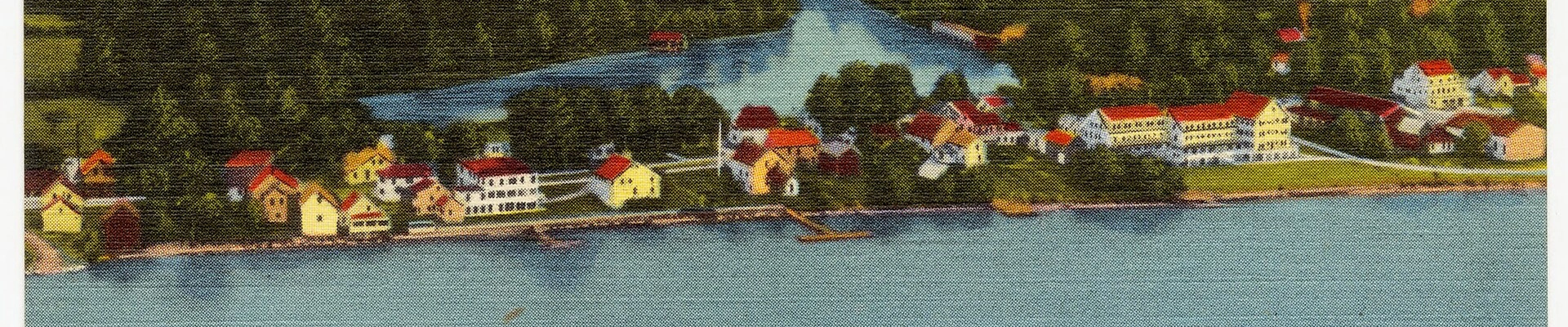 Tree in Belgrade, ME