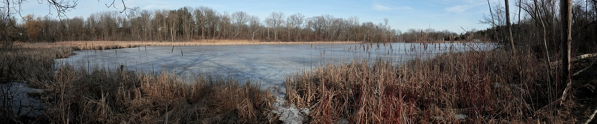 Local pros in Lakeside, Ontario