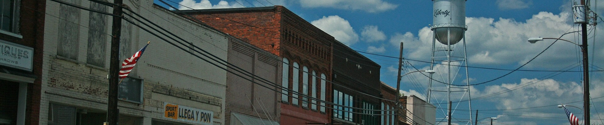 Landscaping, Electrical, and Plumbing in Liberty