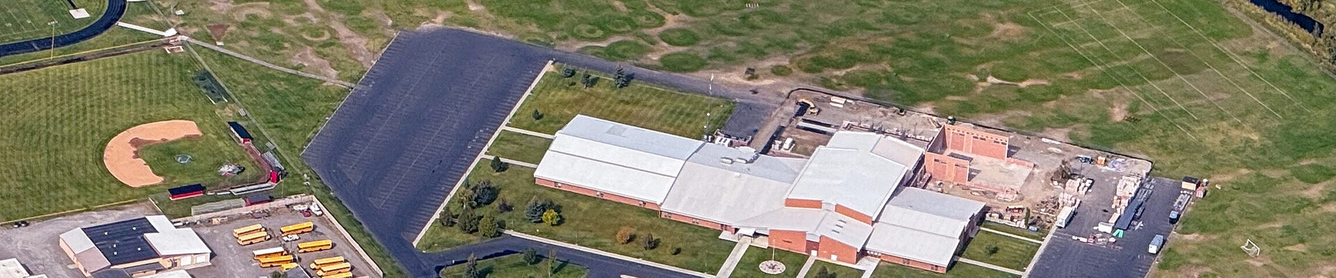 Tree providers in St Anthony