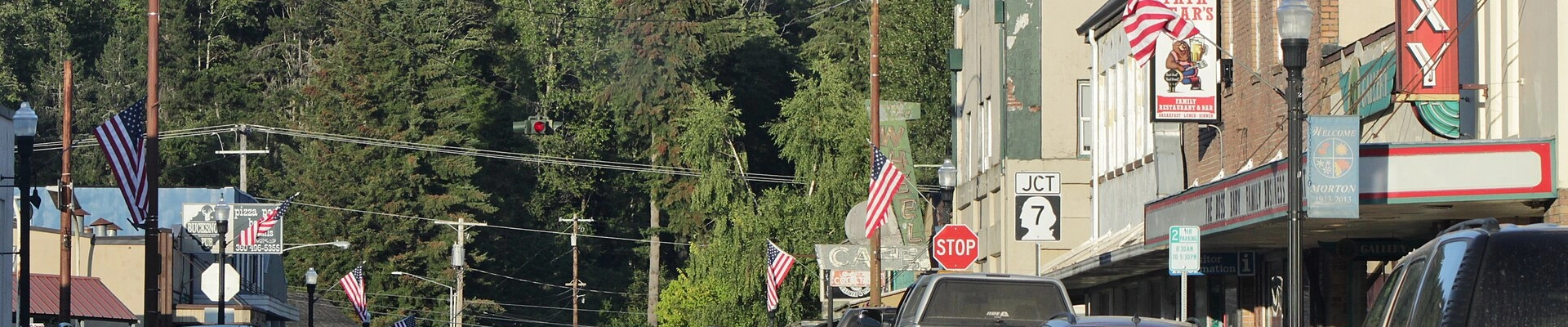 Local pros in Morton, WA