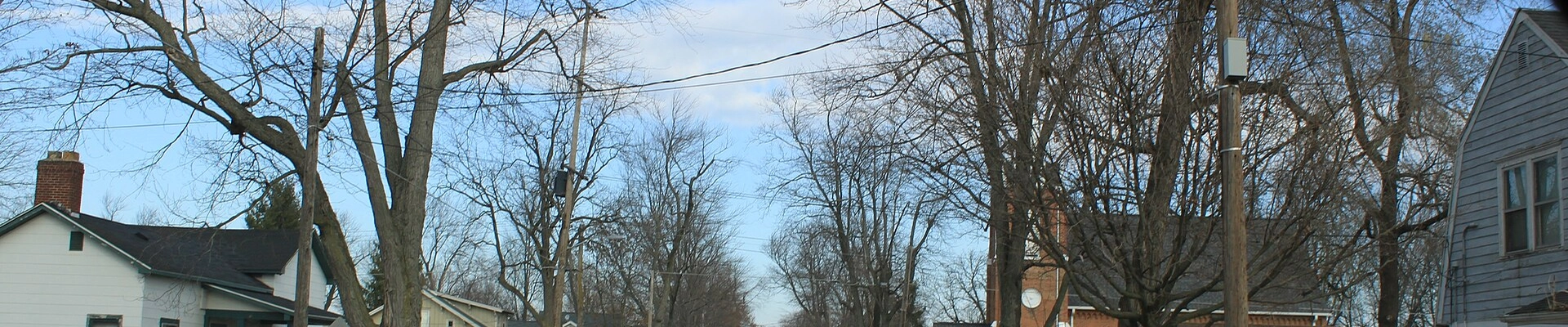 Tree in Clayton, MI