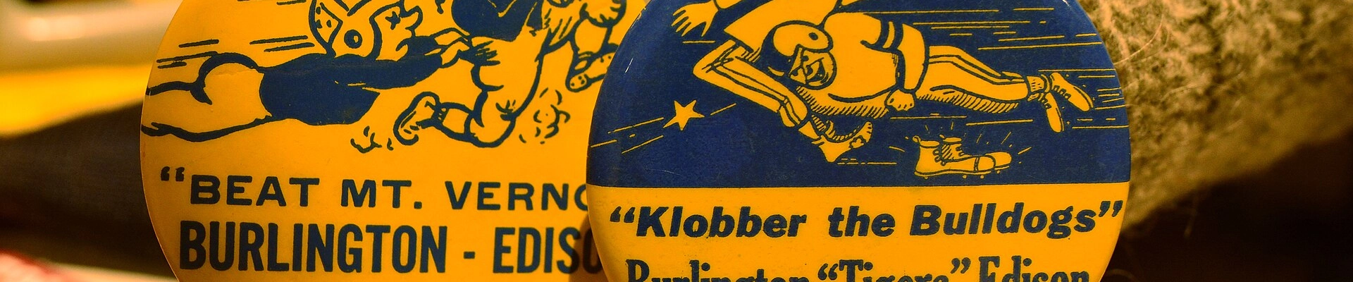 Local pros in Burlington, WA