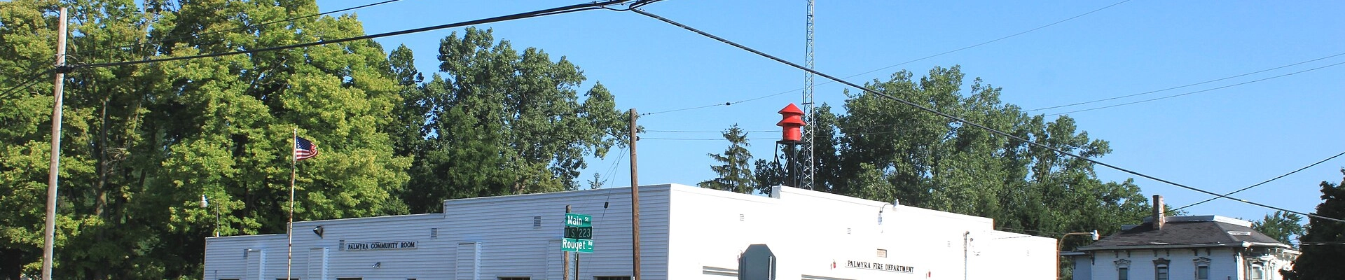 Local pros in Palmyra, MI