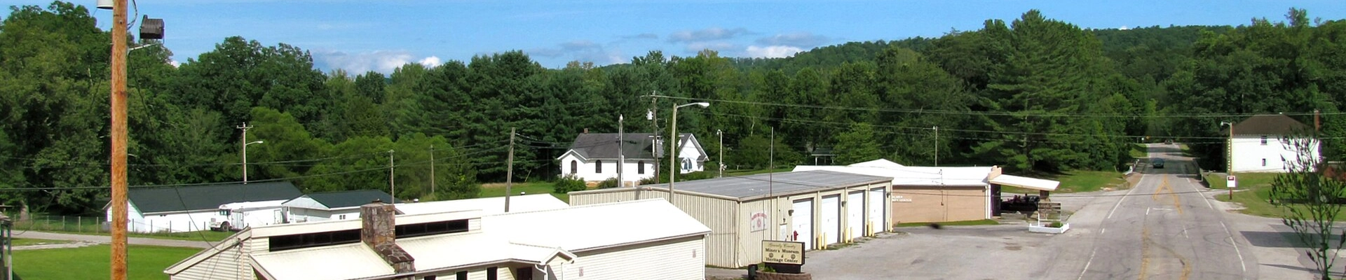 Tree providers in Palmer