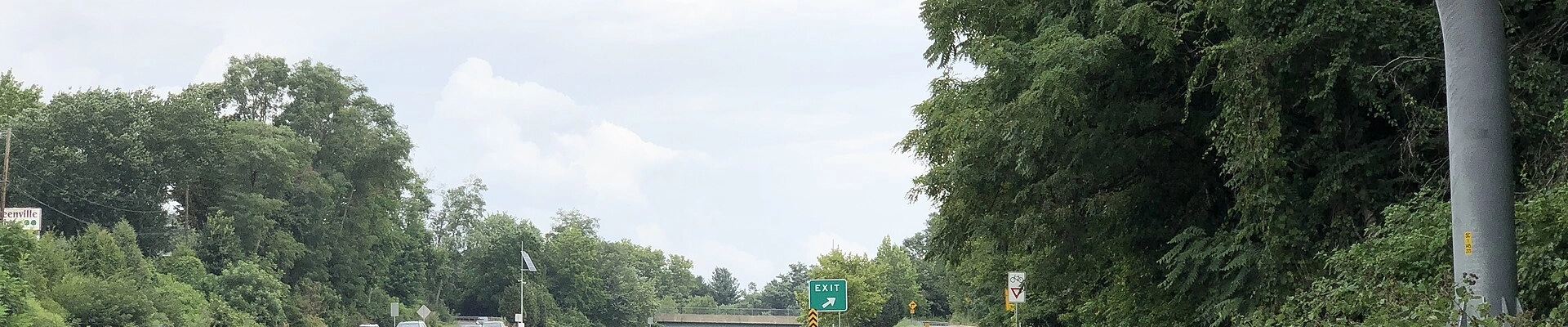 Tree in Greenville