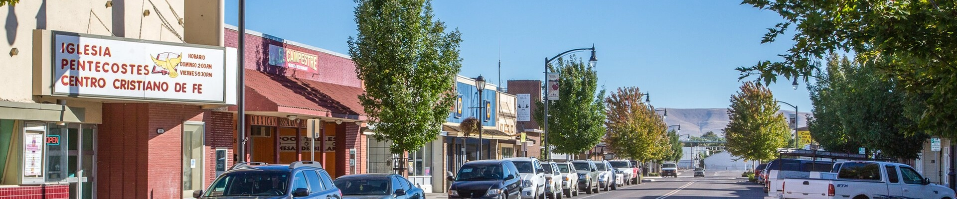 Local pros in Grandview, WA