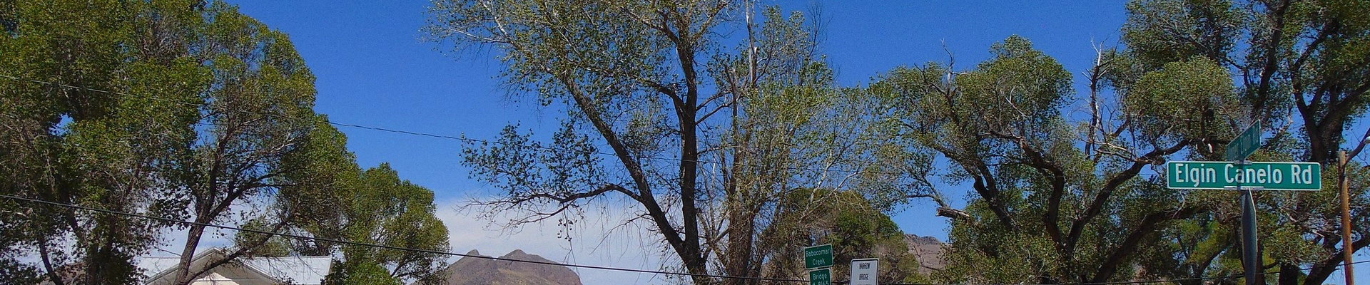 Landscaping in Elgin