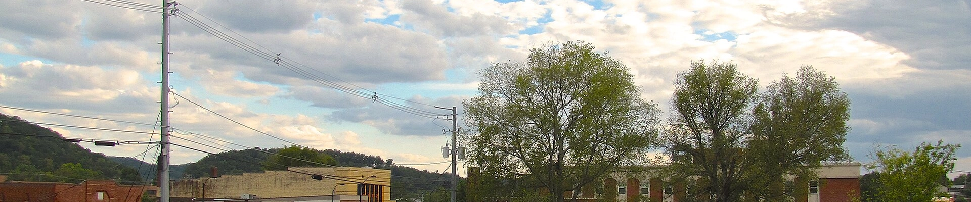 Plumbing, HVAC, and Tree in Clinton