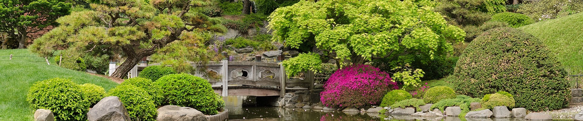 Local pros in York, NY