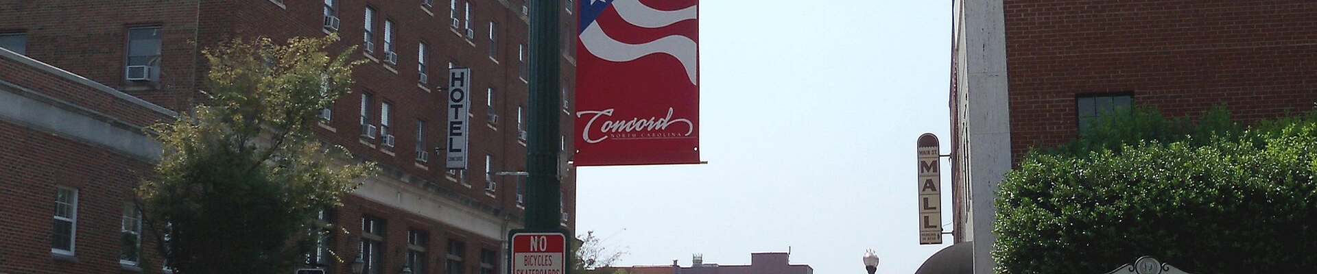 Local pros in Concord, NC