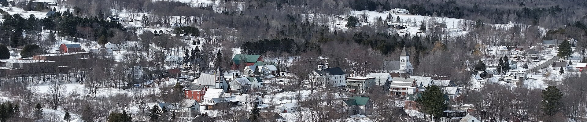 Local pros in Danville, VT
