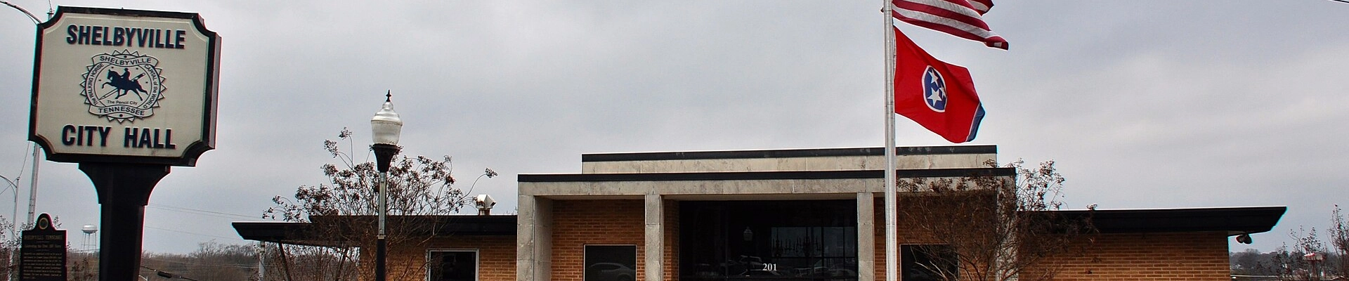 Tree and HVAC in Shelbyville