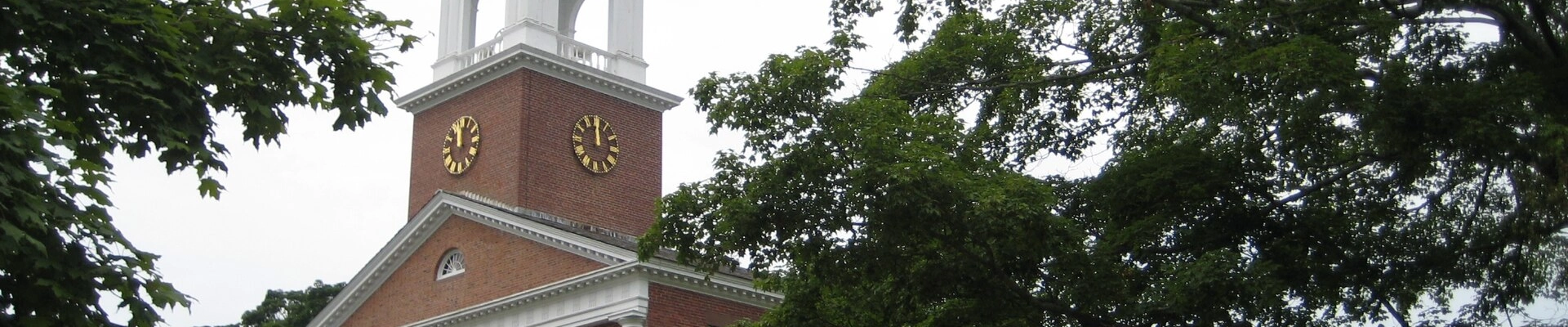 Tree in Lebanon, CT
