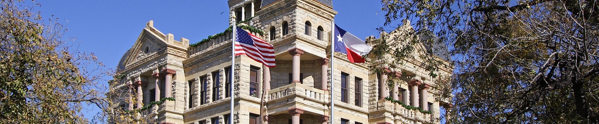 Local pros in Denton, TX