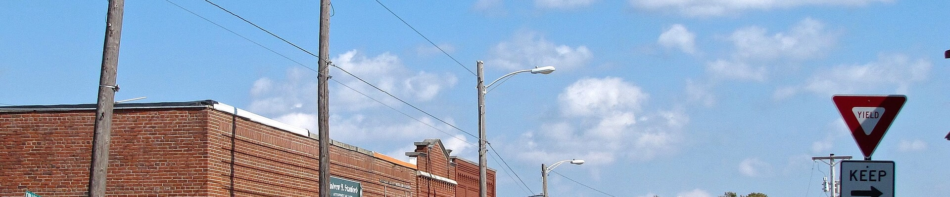 Tree in Lafayette, TN