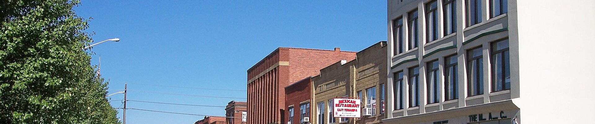 Local pros in Milton, WV