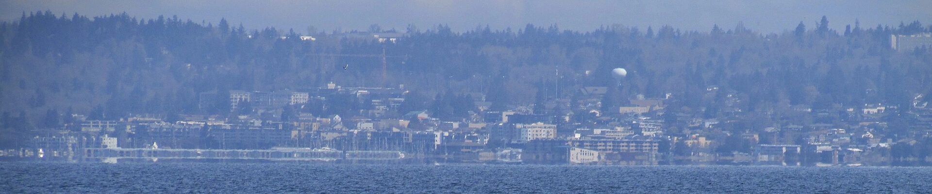House Cleaning in Des Moines, WA