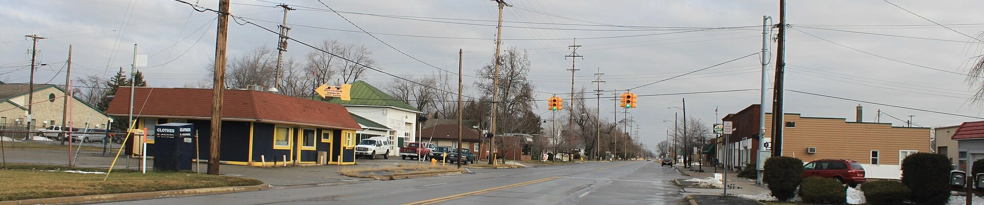 Tree, Electrical, and House Cleaning in Erie