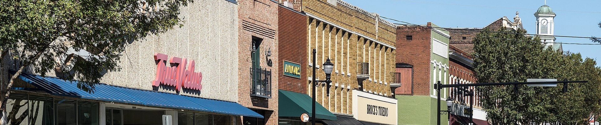 HVAC, Plumbing, and Tree in Lexington