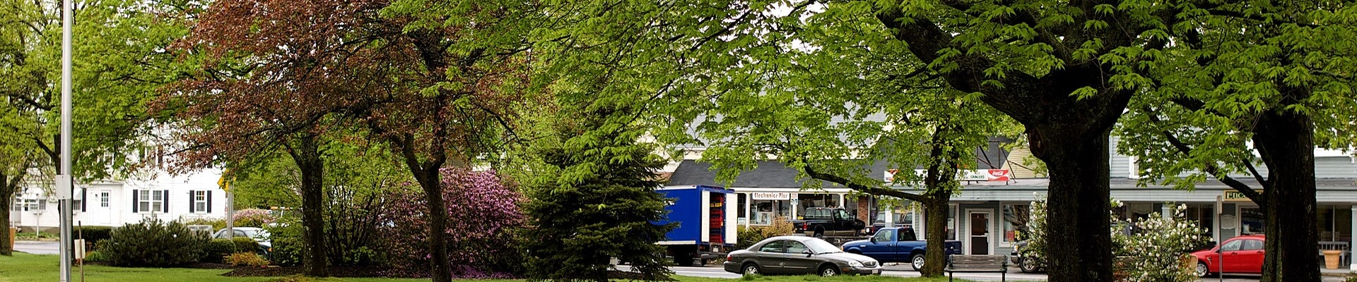 Local pros in Littleton, MA