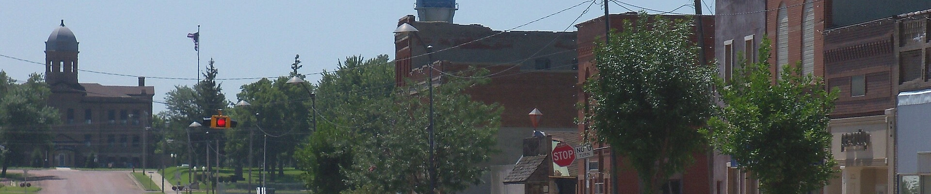 HVAC and Tree in Parker