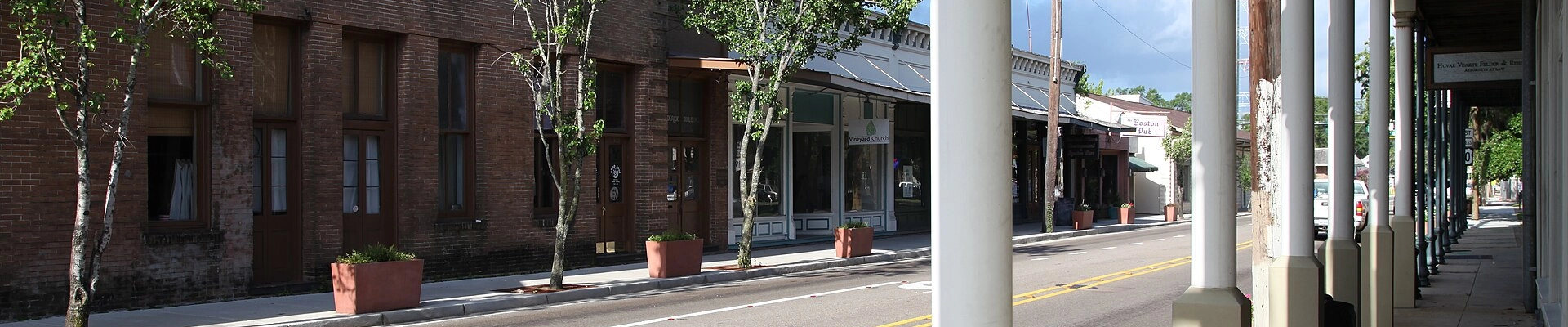 Tree providers in Covington