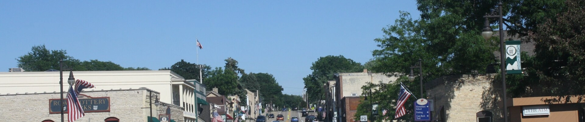 Tree in Cambridge, WI