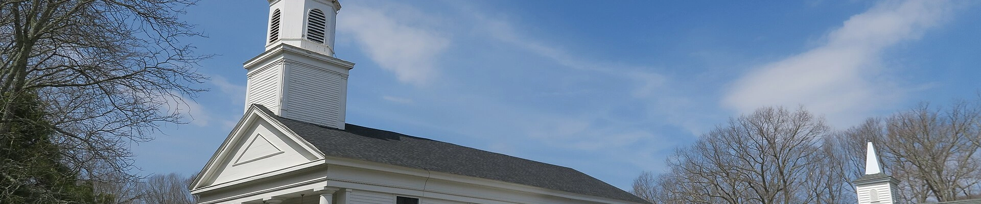 Landscaping, Plumbing, and Tree in Andover