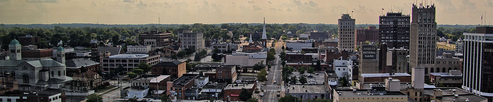 Tree providers in Jackson
