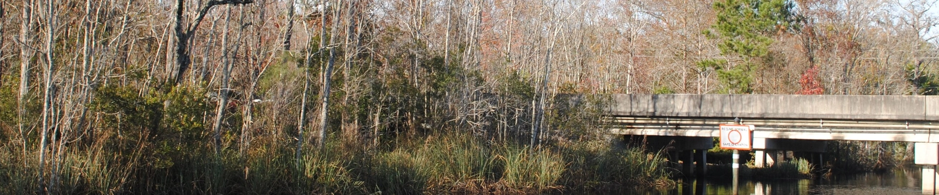 Landscaping in Yulee, FL