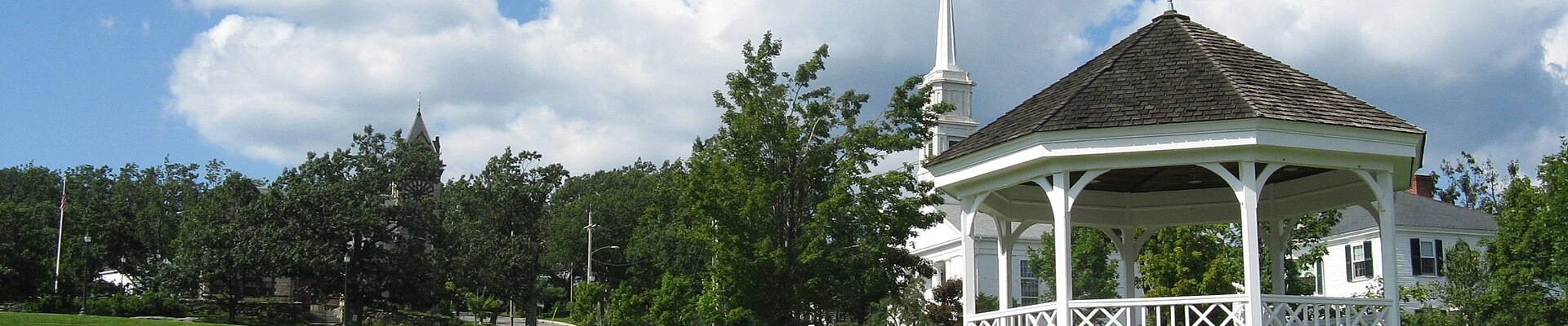 Local pros in Princeton, MA