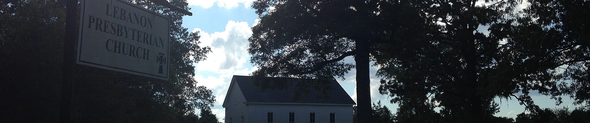Tree in Utica, MS